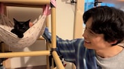 保護猫と触れ合う松村北斗（SixTONES）。©︎日本テレビ