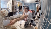 保護猫の世話をする長嶋トモヒコ（ダーリンハニー）。©︎日本テレビ