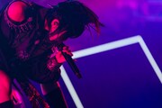 がるむ（撮影：真島洸）