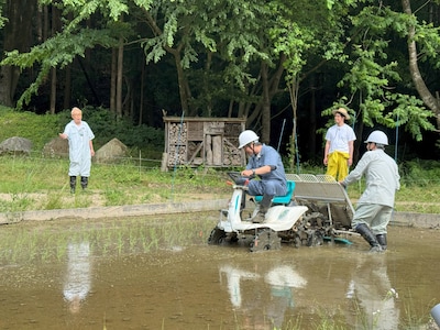 田植えに挑戦する奥田民生（中央）。「所さんの目がテン！」の特別企画「かがくの里特別編 所ジョージ・奥田民生 里の母屋にお泊まりSP！」より。