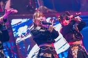 ライカ（撮影：真島洸）