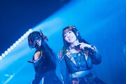 すずめ（撮影：真島洸）