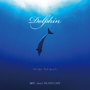 関口シンゴ「Dolphin」配信ジャケット