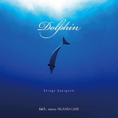 関口シンゴ「Dolphin」配信ジャケット