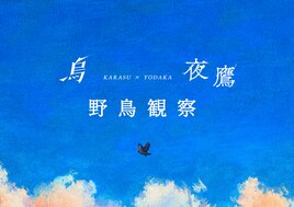 米津玄師「烏×夜鷹」2曲がひとつの空で巡り合う特設サイト公開、世界中のリスナーが“野鳥観察”