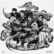 JO1、全米デビューEP「ANIMAL」発売決定