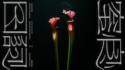 長谷川白紙の新曲「窒息日記」配信＆MV公開、細井徳太郎のガットギターをフィーチャー