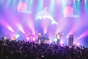 「ライブナタリー “group_inou × ピーナッツくん × PAS TASTA” 横浜」よりPAS TASTAのステージの様子。（撮影：森好弘）