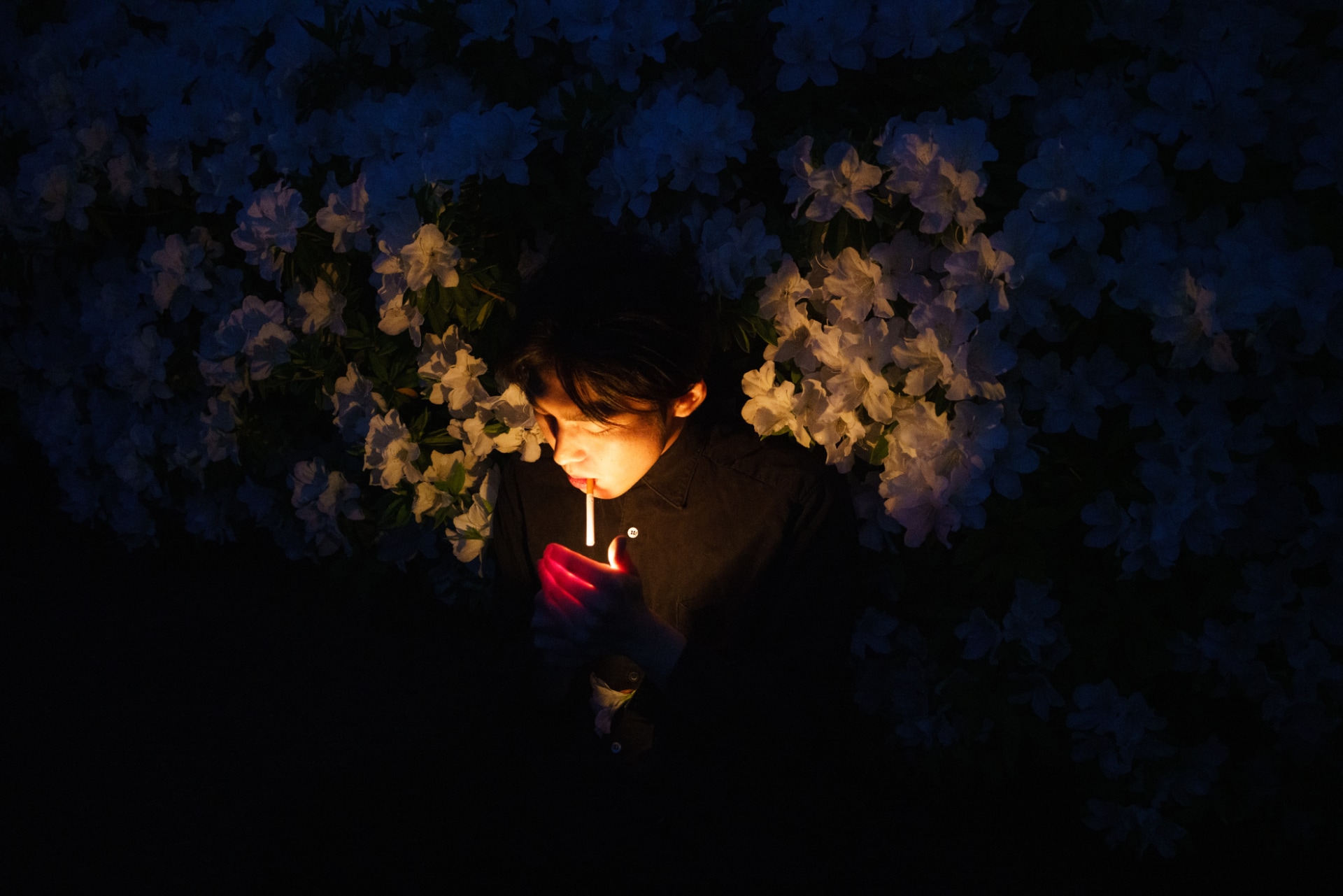 君島大空、合奏形態のツアー「SUPER BLUE TRANQUILIZER」追加公演を 君島大空、合奏形態のツアー「SUPER BLUE TRANQUILIZER」追加公演を