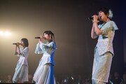 Negicco