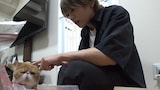 不器用な保護猫・ニャオハと触れ合う猪俣周杜（timelesz）。©日本テレビ