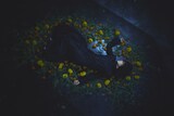 平手友梨奈「アナタタチノカルテ」ビジュアル