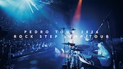 PEDRO「桃源郷」ライブ映像より。