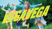 猫背のネイビーセゾンのサマーソング「VEGAVEGA」MV公開、下心爆発寸前