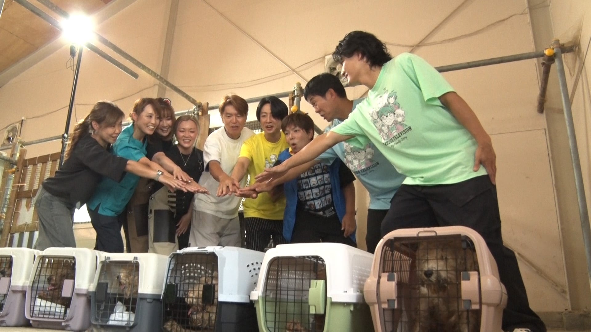相葉雅紀の「保護犬トリミング」に森本慎太郎、ヒロミ、森保一がドリームチームで参加