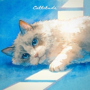 seizaが新曲「Cattitude」配信リリース、猫のように気まぐれな人への思いを紡ぐ