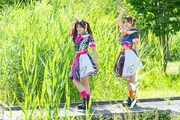 「FAMIEN」会場にのみ現れる珍しい野鳥。