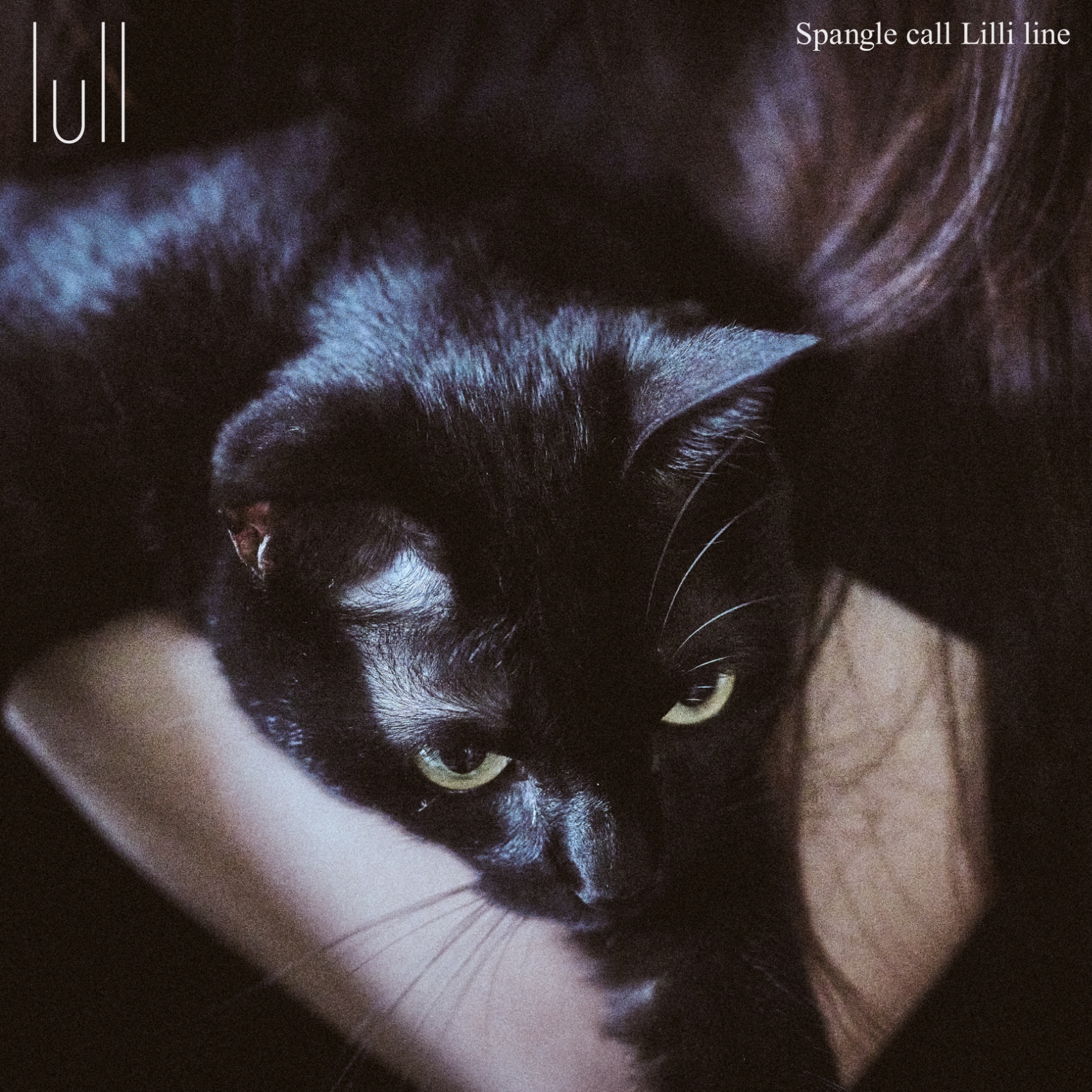 Spangle call Lilli line、約3年半ぶりアルバム「lull」で日常の気配を