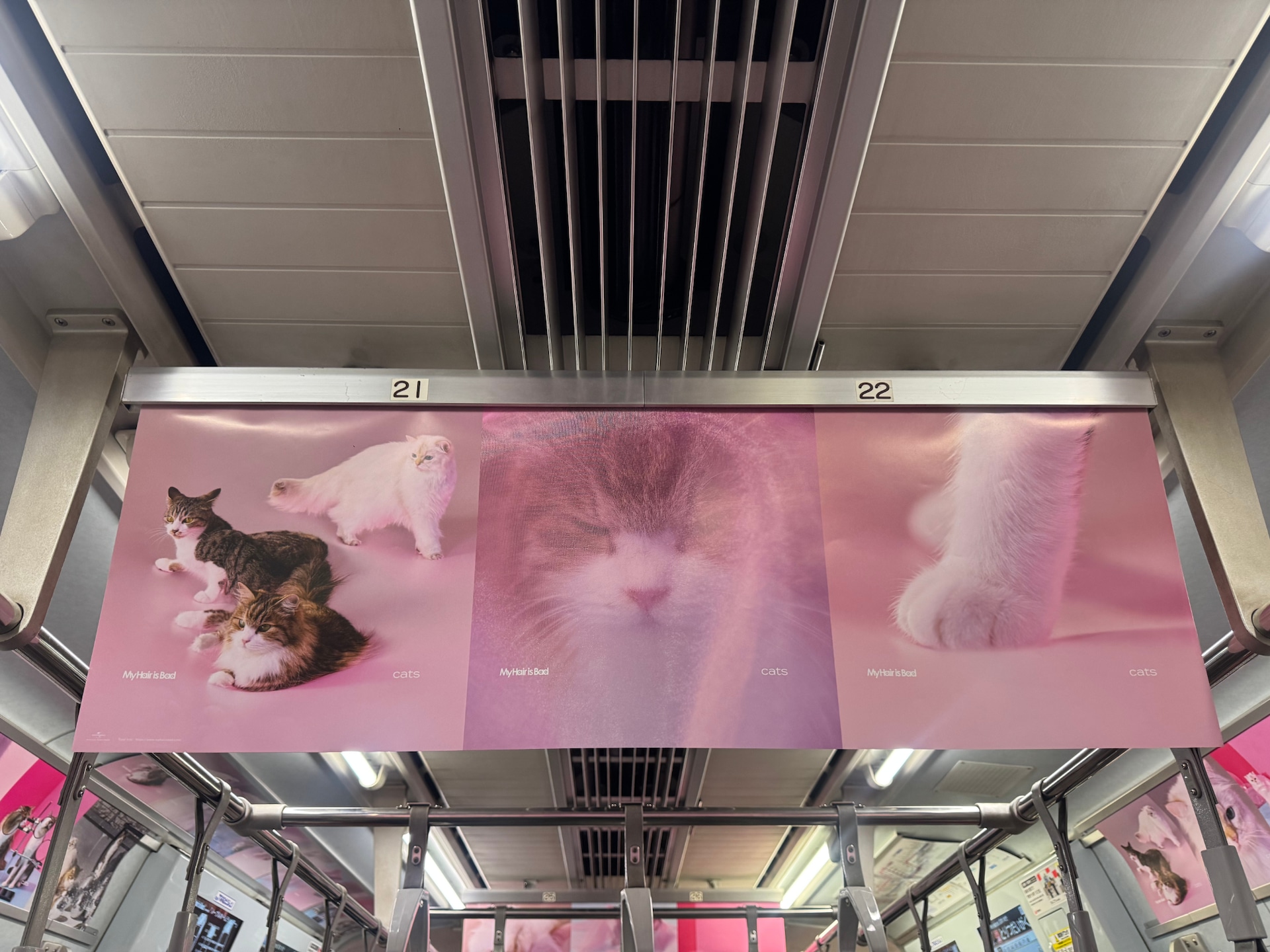 にゃにごと？My Hair is Badニューアルバム発売記念して東横線が猫