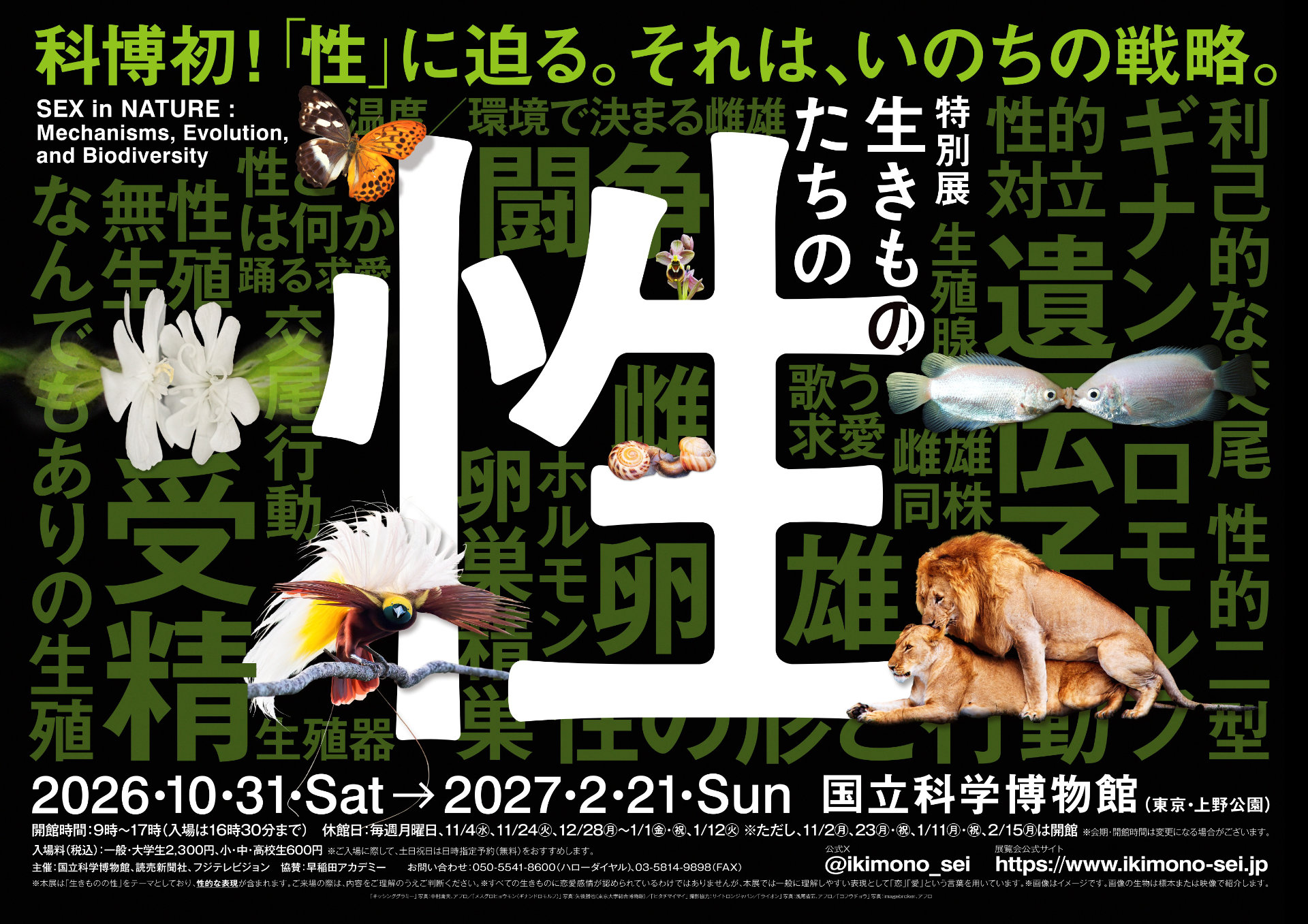 サーヤが涙を流して感謝、礼賛の全国ツアー最終公演でファン＝“NICE