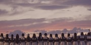 Rain Tree初の全員参加曲「台風の夜」MV公開、メンバー16人の絆を描く