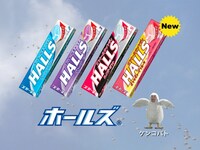 「ホールズ®」は、独自のメントールとユーカリオイルによるスースー効果で、のどから鼻へ広がる爽快な刺激と清涼感が特徴。のど・ハナをスッキリ、気分をリフレッシュする大人のためのメントールキャンディだ。