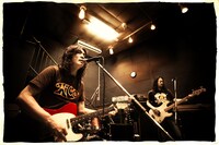 カーネーション