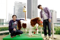 番組名の「スターリオン」とは、「スタリオン=種馬」＋「スター」の造語。スター候補生のことは“明日のスターリオン”という意味を込めて、「アスナリオン」と命名。(c)ABC