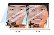 現在発売中のグッズ「ジャルジャルフェイスメモ」、525円。60枚つづり。