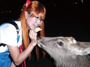 「ロケみつ」の一場面。