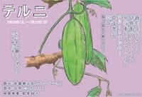 ジューシーズ松橋・脚本、ライス田所演出「テルニ」のチラシ。出演は、ライス関町、ジューシーズ赤羽、ジューシーズ児玉、エリートヤンキー、囲碁将棋、天狗ほか。イラストはライス田所。