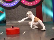 脱皮後の舐め虫。素早さが格段に増した。「一見さんの料理にこっそり毒を盛る」という恐ろしい必殺技を持つ。苦手なものは味皇、海原雄山、鹿賀丈史。