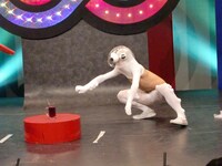 脱皮後の舐め虫。素早さが格段に増した。「一見さんの料理にこっそり毒を盛る」という恐ろしい必殺技を持つ。苦手なものは味皇、海原雄山、鹿賀丈史。