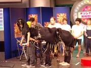 エンディングではバツ2の体長が1.5倍に。