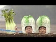 29th EP FILM「白菜」