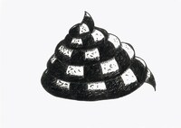 「クソストライプ」。