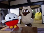 座敷で遊ぶウルフィ、ぽるぽる、ココマル。