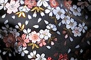 裏地には桜の金襴織物。