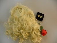 楽屋には、ユーモア軍団のジュピター木村のものと思われる金髪のカツラとバラ。そして鬼ヶ島野田が手首につけていた、普通の人では重くて持てないリストバンドが残されていた。