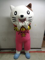 ルミにゃんがJR新宿駅東南口付近に現れるのは、11時頃から12時頃、14時頃～15時頃、18時頃～19時頃、というウワサが。