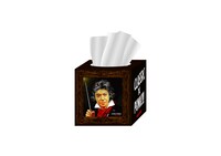 「BOXティッシュ」のイメージ写真。価格は525円。