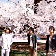 Chicago Poodle新曲「桜色」ジャケット。