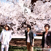 Chicago Poodle新曲「桜色」ジャケット。