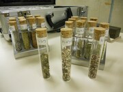 ハーブやオイルなどは、専門店にてカトウ自身が厳選したものを購入。