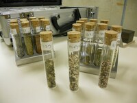 ハーブやオイルなどは、専門店にてカトウ自身が厳選したものを購入。