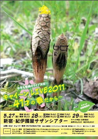 5月27日より29日まで東京・紀伊國屋サザンシアターにて開催されるキャイ～ン単独ライブ「キャイ～ン LIVE2011～41才の春だから～」のチラシ。