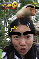 iPhoneアプリ「世界の果てまでイッテQ！イモトカメラ」のイメージ画像 (c)日本テレビ (c)Watanabe Entertainment Co.,Ltd