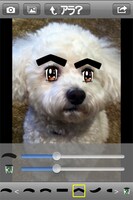 iPhoneアプリ「世界の果てまでイッテQ！イモトカメラ」のイメージ画像 (c)日本テレビ (c)Watanabe Entertainment Co.,Ltd