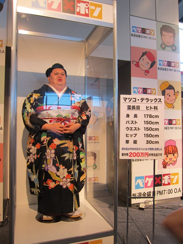 プロフ必読☆マツコデラックスさん着用☆大光謹製 正月特番で200万円かけて作られたマツコ・デラックスの着物を展示