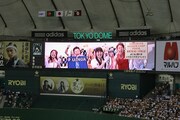 東京ドームにて行われた「東京ドーム発電所 powered by ジョージア」に登場したサバンナ八木となかやまきんに君。